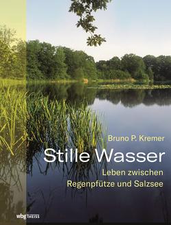 Stille Wasser von Kremer,  Bruno P.