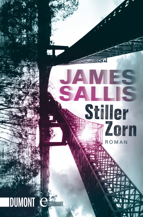 Stiller Zorn von Sallis,  James, Schmidt,  Georg