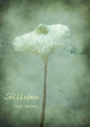 Stillleben (Posterbuch DIN A2 hoch) von Hultsch,  Heike