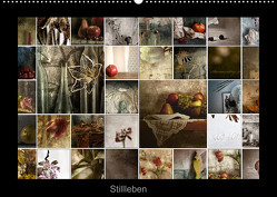 Stillleben (Wandkalender 2023 DIN A2 quer) von Art,  TiLio