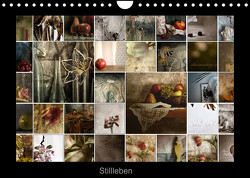 Stillleben (Wandkalender 2023 DIN A4 quer) von Art,  TiLio