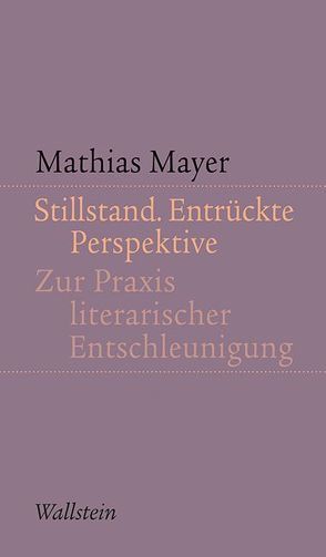 Stillstand. Entrückte Perspektive von Mayer,  Mathias