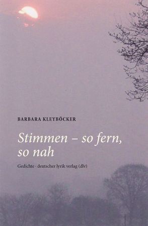 Stimmen – so fern, so nah von Kleyböcker,  Barbara