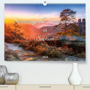 Stimmungsvolle Landschaften in Sachsen 2020 (Premium, hochwertiger DIN A2 Wandkalender 2020, Kunstdruck in Hochglanz) von Beyer (Moqui),  Daniela
