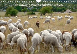 Stimmungsvolles Südfrankreich (Wandkalender 2019 DIN A4 quer) von Haberstock,  Heinrich