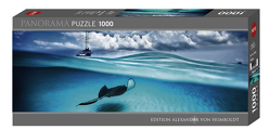 Stingray Puzzle von Humboldt,  Alexander von