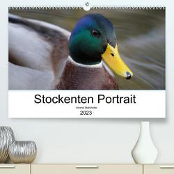 Stockenten Portrait (Premium, hochwertiger DIN A2 Wandkalender 2023, Kunstdruck in Hochglanz) von Mahrhofer,  Verena
