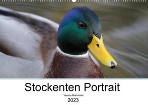 Stockenten Portrait (Wandkalender 2023 DIN A2 quer) von Mahrhofer,  Verena