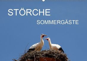 Störche – SommergästeAT-Version (Wandkalender 2019 DIN A2 quer) von Jäger,  Anette/Thomas