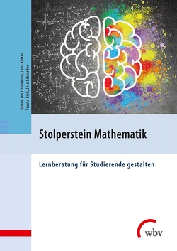 Stolperstein Mathematik von Friedewold,  Detlev Jan, Kötter,  Lena, Link,  Frauke, Schnieder,  Jörn