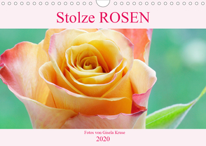 Stolze Rosen (Wandkalender 2020 DIN A4 quer) von Kruse,  Gisela