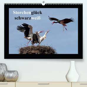 Storchenglück schwarzweiß (Premium, hochwertiger DIN A2 Wandkalender 2021, Kunstdruck in Hochglanz) von Bachmeier,  Günter