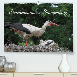Storchenparadies Brandenburg (Premium, hochwertiger DIN A2 Wandkalender 2021, Kunstdruck in Hochglanz) von Konieczka,  Klaus
