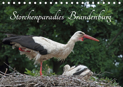 Storchenparadies Brandenburg (Tischkalender 2021 DIN A5 quer) von Konieczka,  Klaus