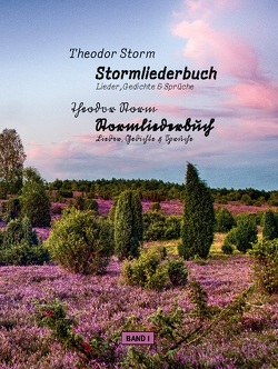 Stormliederbuch – Sütterlin von Schulte,  Peter, Storm,  Theodor