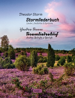 Stormliederbuch – Sütterlin von Schulte,  Peter, Storm,  Theodor