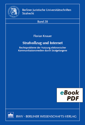 Strafvollzug und Internet von Knauer,  Florian