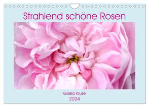 Strahlend schöne Rosen (Wandkalender 2024 DIN A4 quer), CALVENDO Monatskalender von Kruse,  Gisela