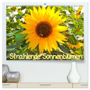 Strahlende Sonnenblumen / CH – Version (hochwertiger Premium Wandkalender 2024 DIN A2 quer), Kunstdruck in Hochglanz von Sigwarth,  Karin