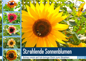 Strahlende Sonnenblumen (Tischkalender 2023 DIN A5 quer) von Sigwarth,  Karin