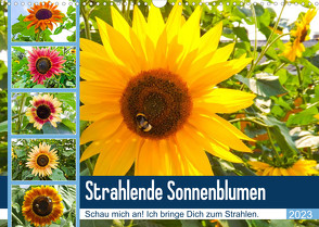 Strahlende Sonnenblumen (Wandkalender 2023 DIN A3 quer) von Sigwarth,  Karin