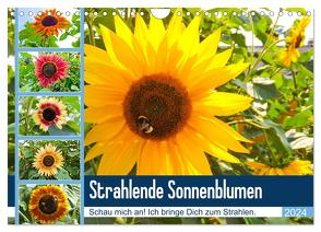 Strahlende Sonnenblumen (Wandkalender 2024 DIN A4 quer), CALVENDO Monatskalender von Sigwarth,  Karin