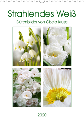 Strahlendes Weiß Blütenbilder (Wandkalender 2020 DIN A3 hoch) von Kruse,  Gisela
