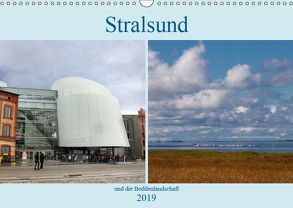 Stralsund und die Boddenlandschaft (Wandkalender 2019 DIN A3 quer) von Dürr,  Brigitte