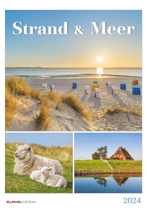 Strand & Meer 2024 – Bildkalender A3 (29,7×42 cm) – mit Feiertagen – Triplets – drei Bilder pro Monat – Naturkalender – Wandplaner – Wandkalender