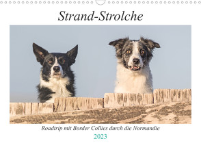 Strand-Strolche (Wandkalender 2023 DIN A3 quer) von Homolka,  Barbara