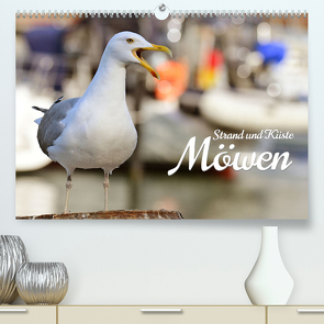 Strand und Küste – Möwen (Premium, hochwertiger DIN A2 Wandkalender 2024, Kunstdruck in Hochglanz) von Reinke,  Michael