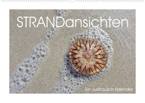 Strandansichten (Wandkalender 2022 DIN A2 quer) von Schmidt,  Daphne