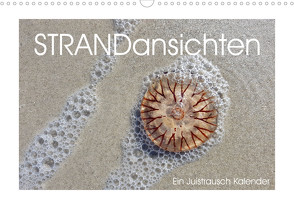 Strandansichten (Wandkalender 2022 DIN A3 quer) von Schmidt,  Daphne
