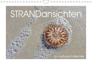 Strandansichten (Wandkalender 2022 DIN A4 quer) von Schmidt,  Daphne