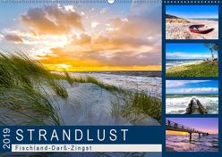 STRANDLUST: Fischland-Darß-Zingst (Wandkalender 2019 DIN A2 quer) von Dreegmeyer,  Andrea