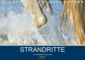 STRANDRITTE (Tischkalender 2021 DIN A5 quer) von Eckerl Tierfotografie www.petraeckerl.com,  Petra