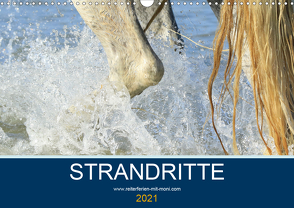 STRANDRITTE (Wandkalender 2021 DIN A3 quer) von Eckerl Tierfotografie www.petraeckerl.com,  Petra