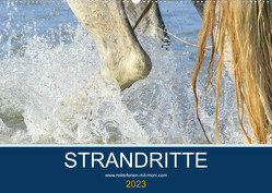 STRANDRITTE (Wandkalender 2023 DIN A2 quer) von Eckerl Tierfotografie www.petraeckerl.com,  Petra