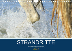 STRANDRITTE (Wandkalender 2023 DIN A4 quer) von Eckerl Tierfotografie www.petraeckerl.com,  Petra