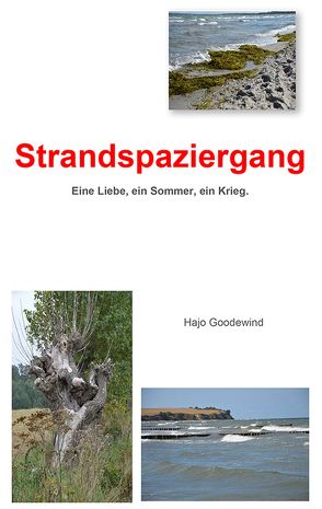 Strandspaziergang von Goodewind,  Hajo