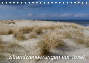 Strandwanderungen auf Texel (Tischkalender 2022 DIN A5 quer) von Stehlmann,  Ute