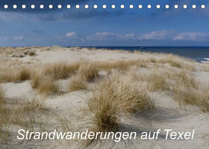 Strandwanderungen auf Texel (Tischkalender 2023 DIN A5 quer) von Stehlmann,  Ute