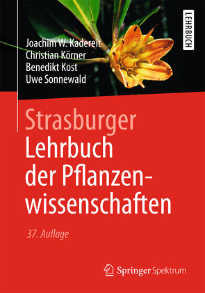 Strasburger − Lehrbuch der Pflanzenwissenschaften von Kadereit,  Joachim W., Körner,  Christian, Kost,  Benedikt, Sonnewald,  Uwe, Strasburger,  E.