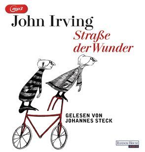 Straße der Wunder von Irving,  John, Steck,  Johannes