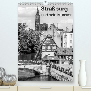 Straßburg und sein Münster (Premium, hochwertiger DIN A2 Wandkalender 2021, Kunstdruck in Hochglanz) von Sock,  Reinhard