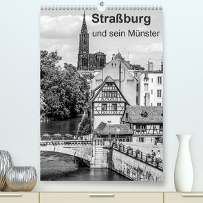 Straßburg und sein Münster (Premium, hochwertiger DIN A2 Wandkalender 2020, Kunstdruck in Hochglanz) von Sock,  Reinhard