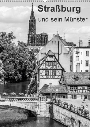 Straßburg und sein Münster (Wandkalender 2018 DIN A2 hoch) von Sock,  Reinhard