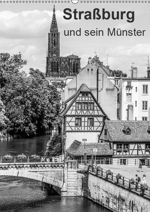 Straßburg und sein Münster (Wandkalender 2019 DIN A2 hoch) von Sock,  Reinhard