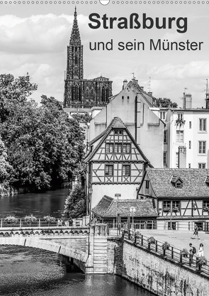 Straßburg und sein Münster (Wandkalender 2021 DIN A2 hoch) von Sock,  Reinhard