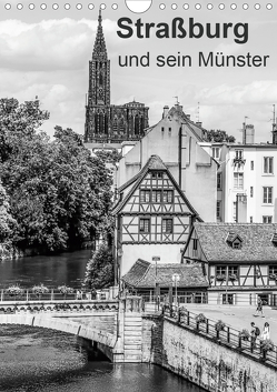 Straßburg und sein Münster (Wandkalender 2021 DIN A4 hoch) von Sock,  Reinhard